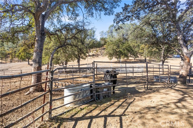 MLS #SN25237310 image #24