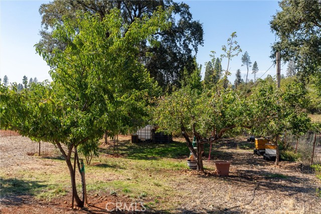 MLS #SN25219097 image #18