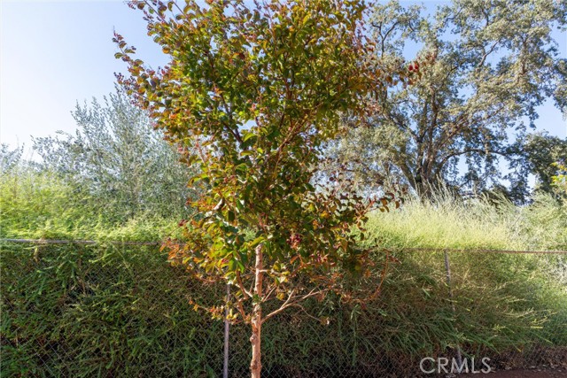 MLS #SN25219097 image #25