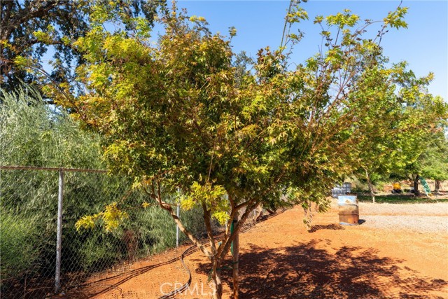 MLS #SN25219097 image #26