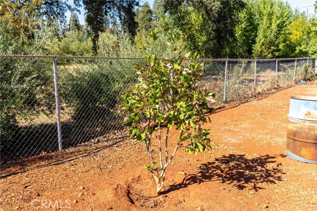 MLS #SN25219097 image #27