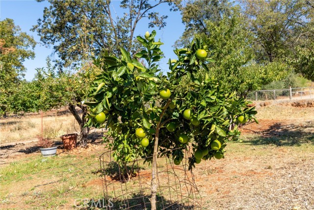 MLS #SN25219097 image #29