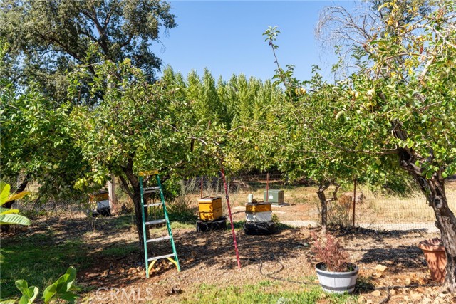 MLS #SN25219097 image #31