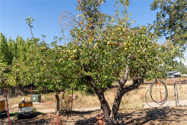 MLS #SN25219097 image #32