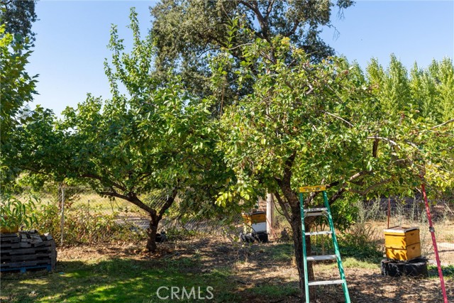 MLS #SN25219097 image #33