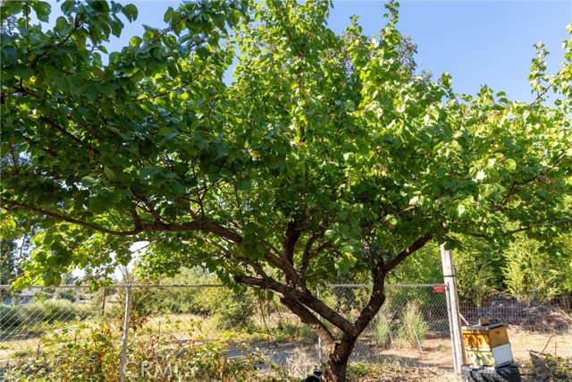 MLS #SN25219097 image #34