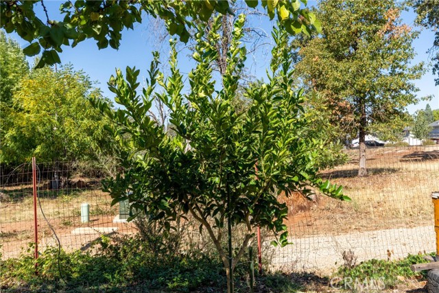 MLS #SN25219097 image #35