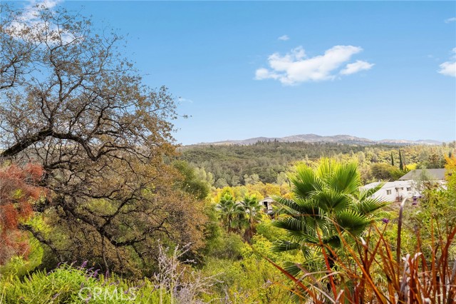 MLS #SN25241765 image #57