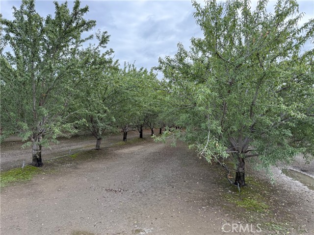 MLS #SN25242805 image #3