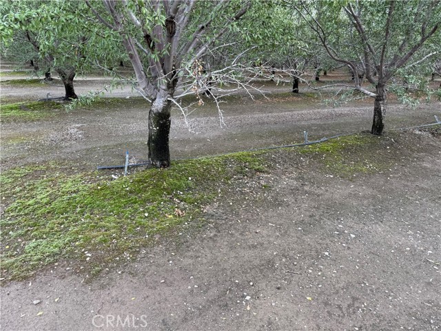 MLS #SN25242805 image #4