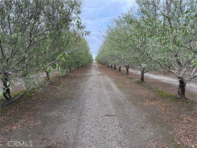 MLS #SN25242805 image #5