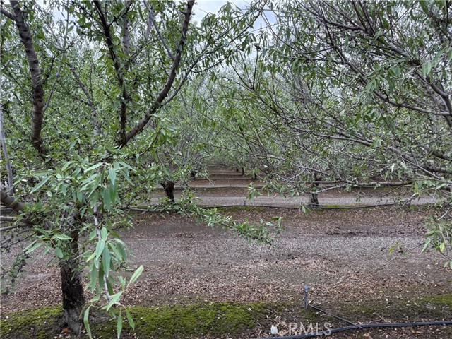 MLS #SN25242805 image #6