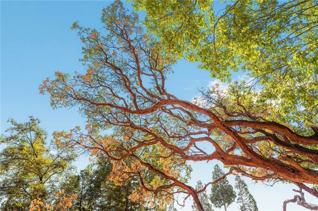 MLS #SN25243991 image #38