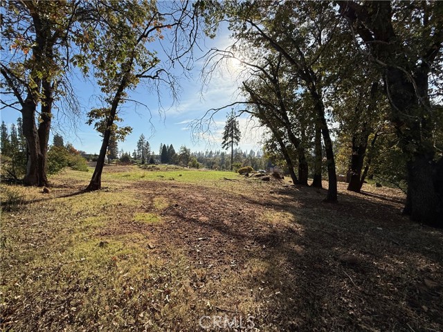 MLS #SN25247113 image #14