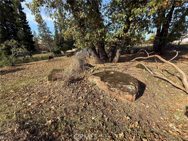 MLS #SN25247113 image #15