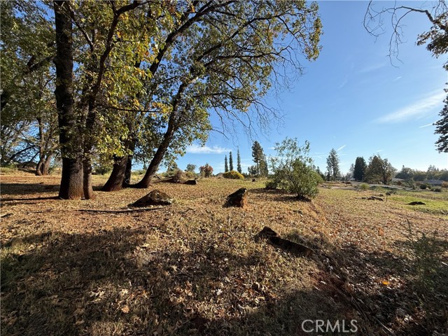 MLS #SN25247113 image #4