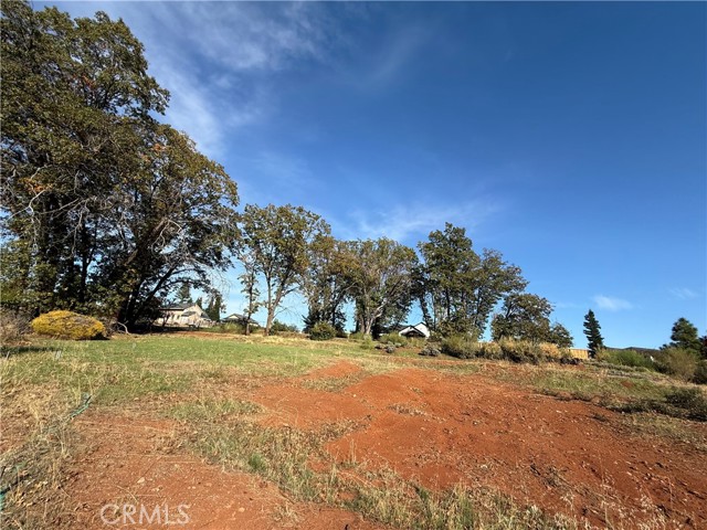 MLS #SN25247113 image #5