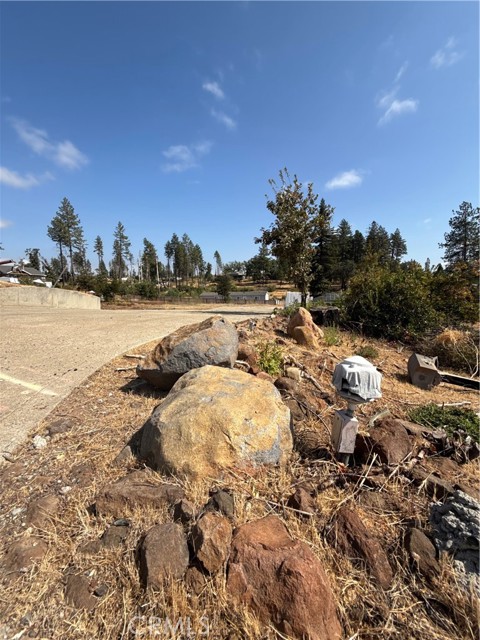 MLS #SN25247127 image #5