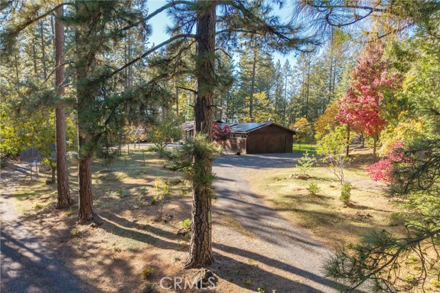 MLS #SN25247414 image #11