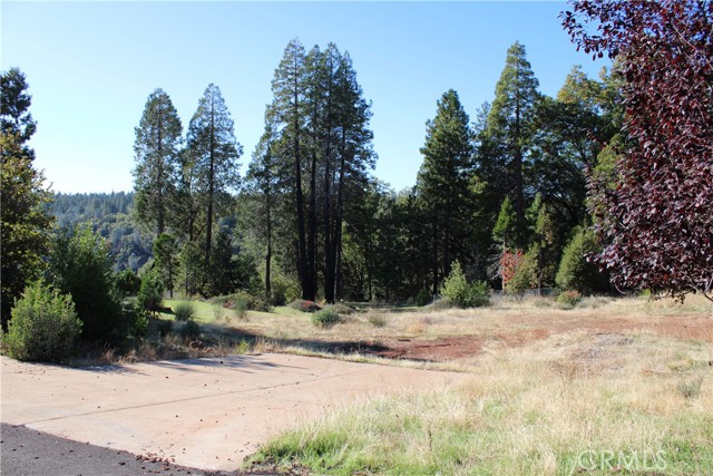 MLS #SN25248391 image #1