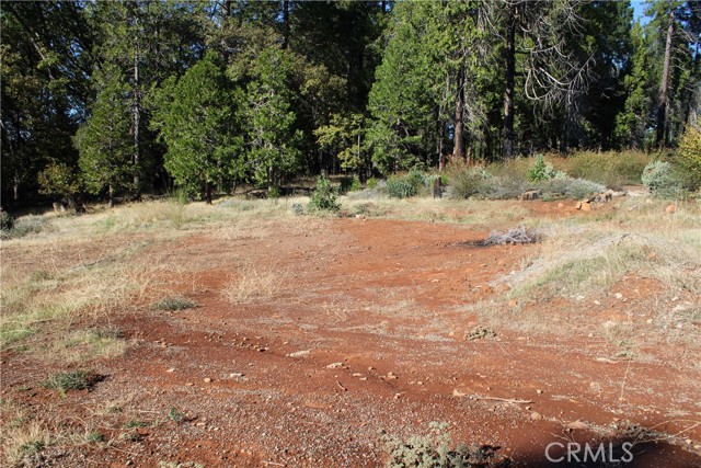 MLS #SN25248391 image #10