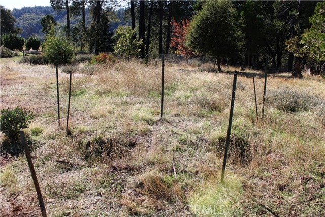 MLS #SN25248391 image #11