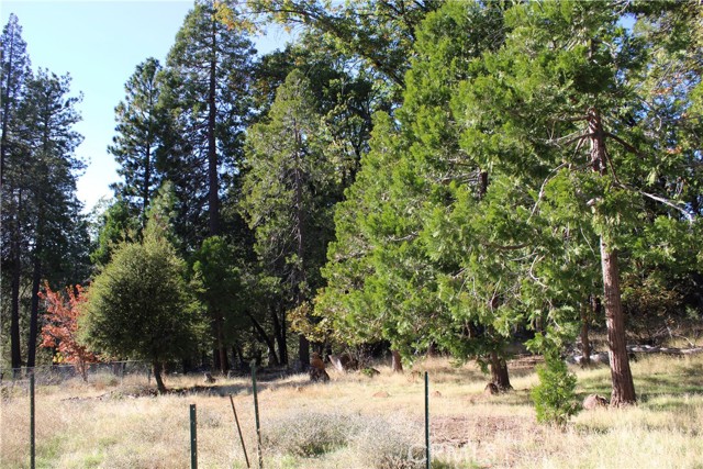 MLS #SN25248391 image #13