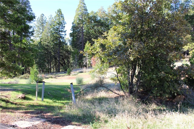 MLS #SN25248391 image #2