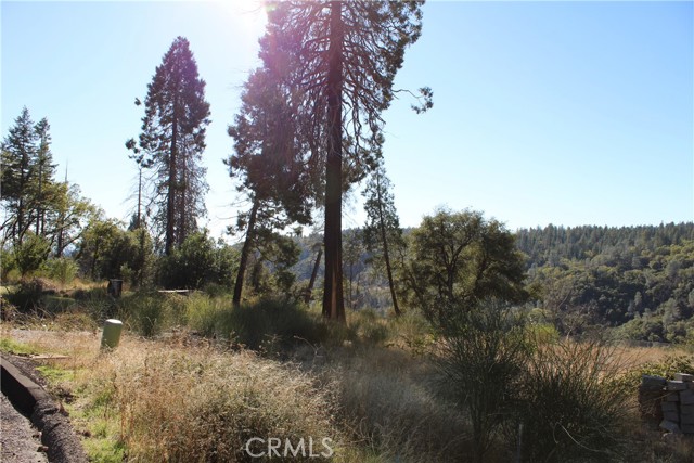 MLS #SN25248391 image #4