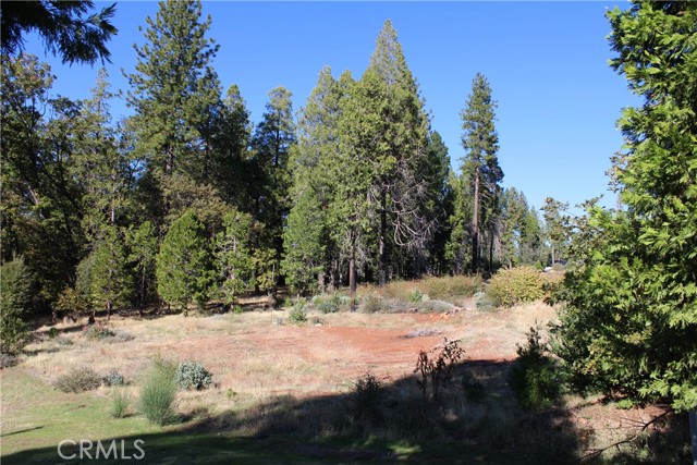 MLS #SN25248391 image #5