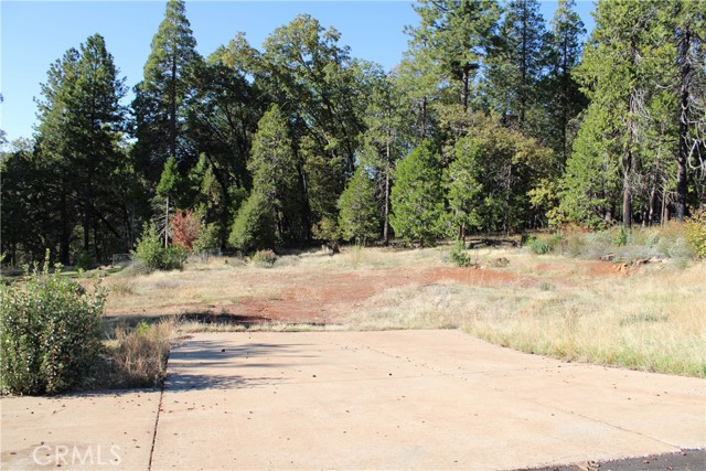 MLS #SN25248391 image #6