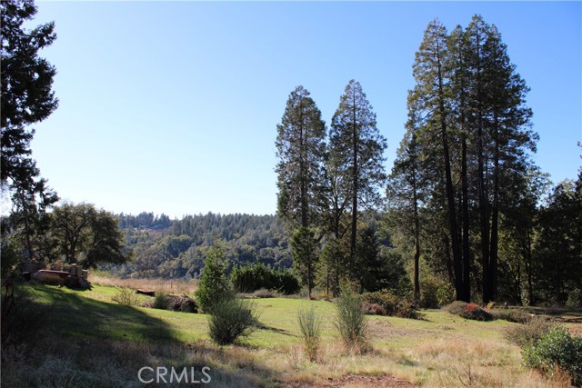 MLS #SN25248391 image #7