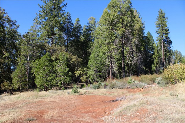 MLS #SN25248391 image #8