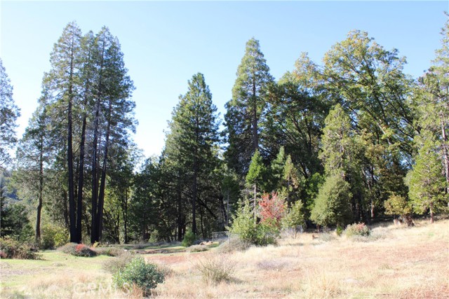 MLS #SN25248391 image #9