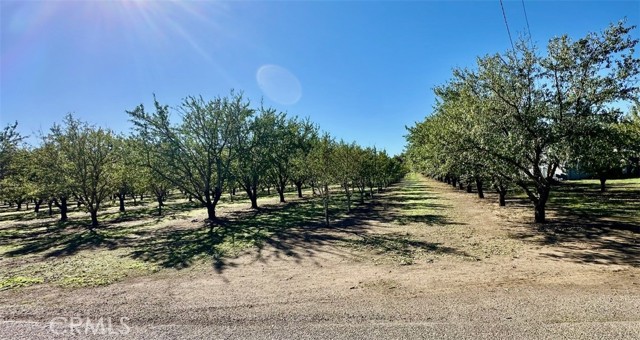 MLS #SN25249800 image #24