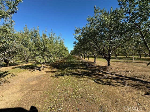 MLS #SN25249800 image #25