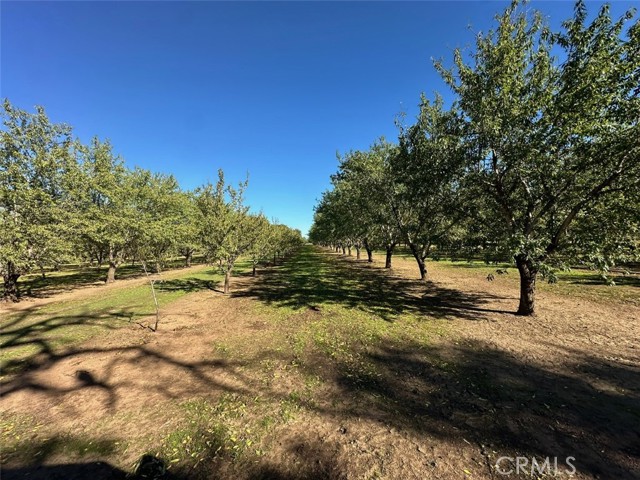 MLS #SN25249800 image #26