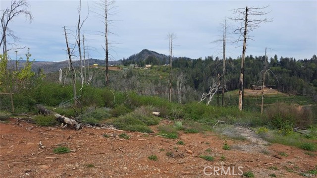 MLS #SN25252412 image #1