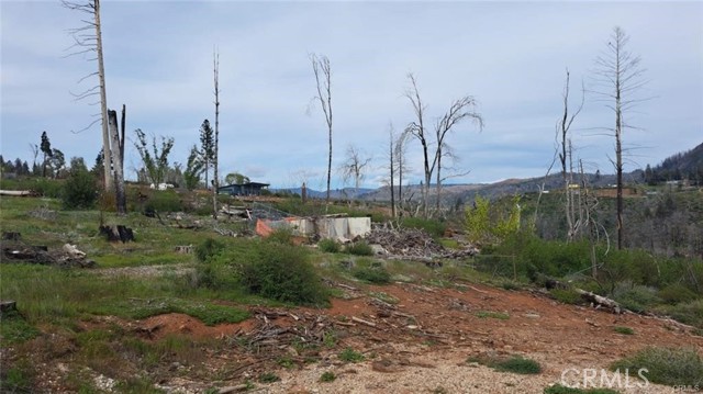 MLS #SN25252412 image #5