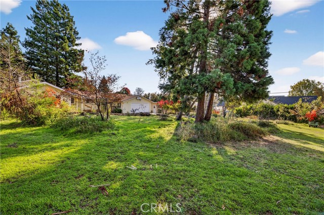 MLS #SN25254219 image #46