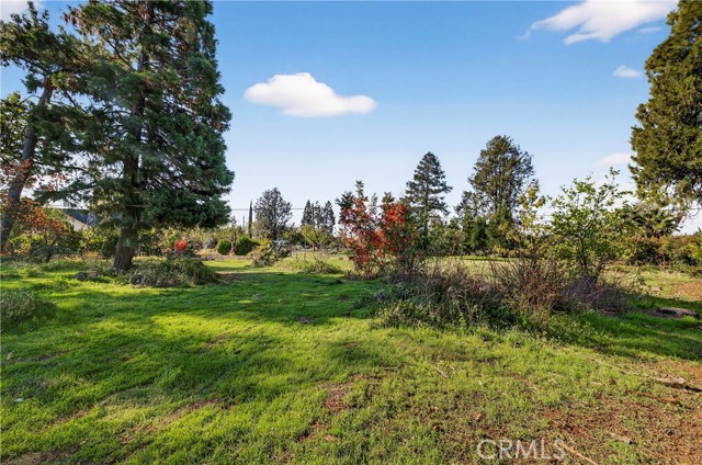 MLS #SN25254219 image #47