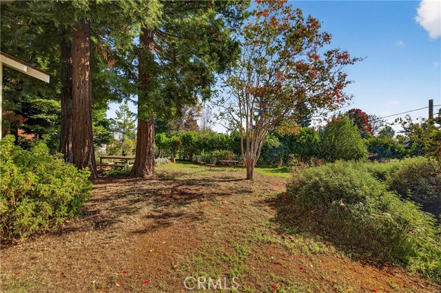 MLS #SN25254219 image #54