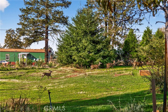 MLS #SN25254219 image #55