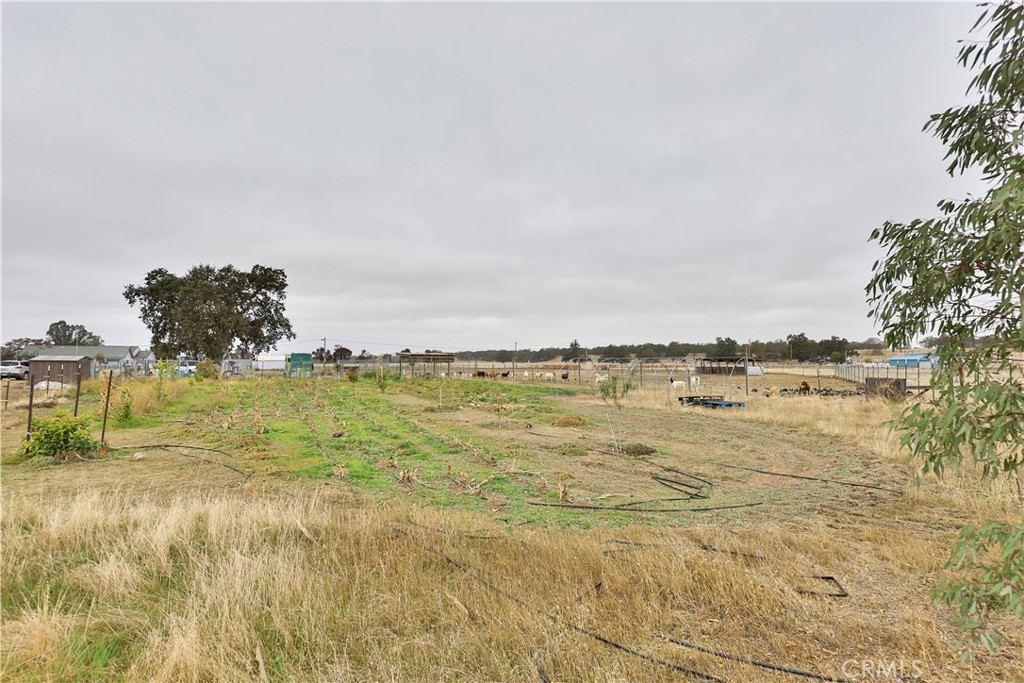 MLS #SN25254529 image #47