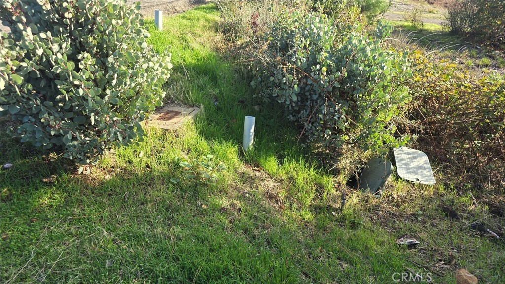 MLS #SN25254989 image #3