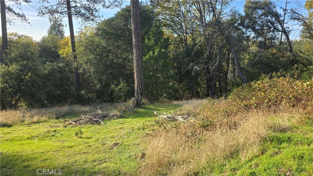 MLS #SN25254989 image #6