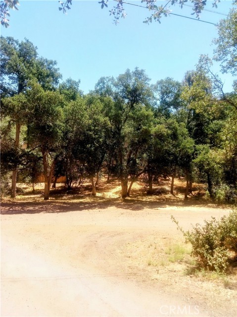 MLS #SN25255028 image #2