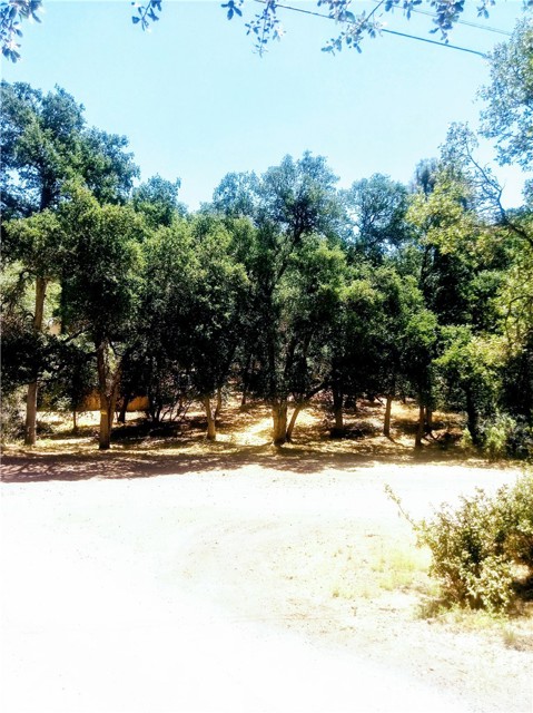 MLS #SN25255028 image #3