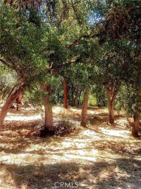 MLS #SN25255028 image #4