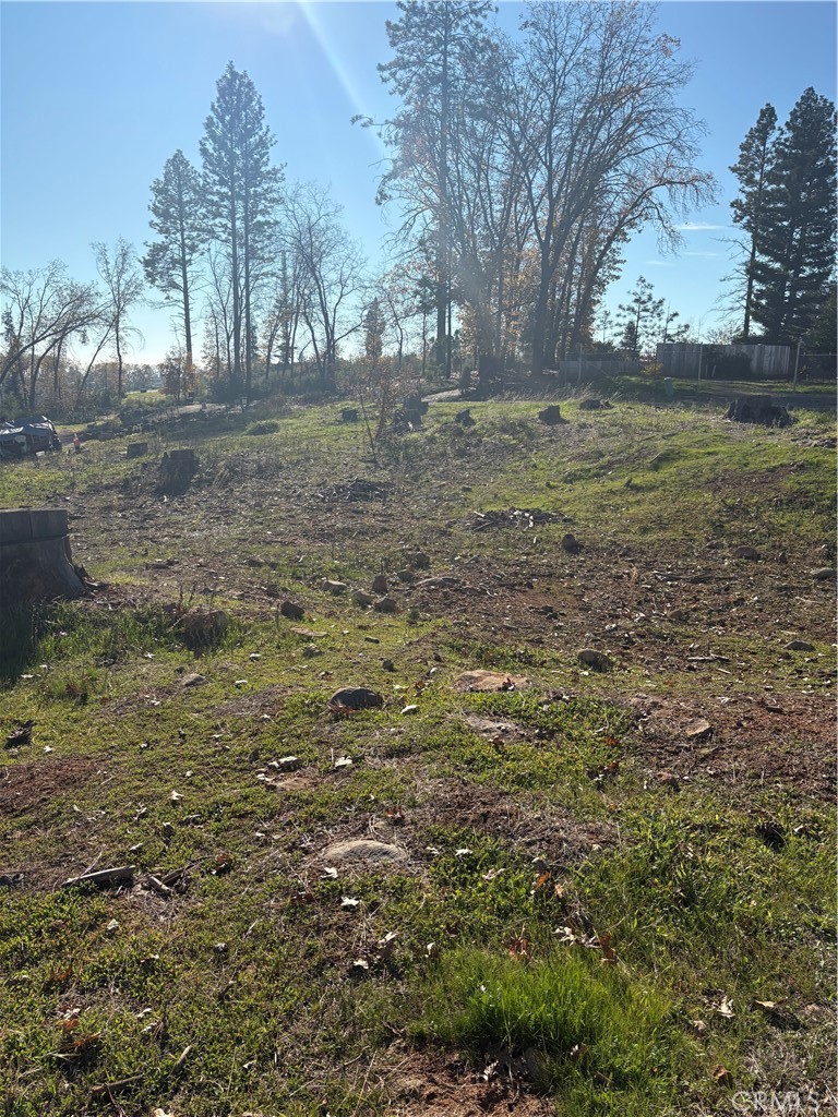 MLS #SN25257487 image #5